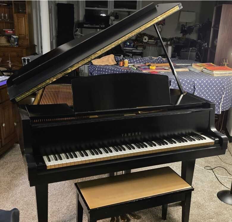 Yamaha Baby Grand Piano In Excellent Condition Going For Free