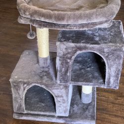 Cat Condo