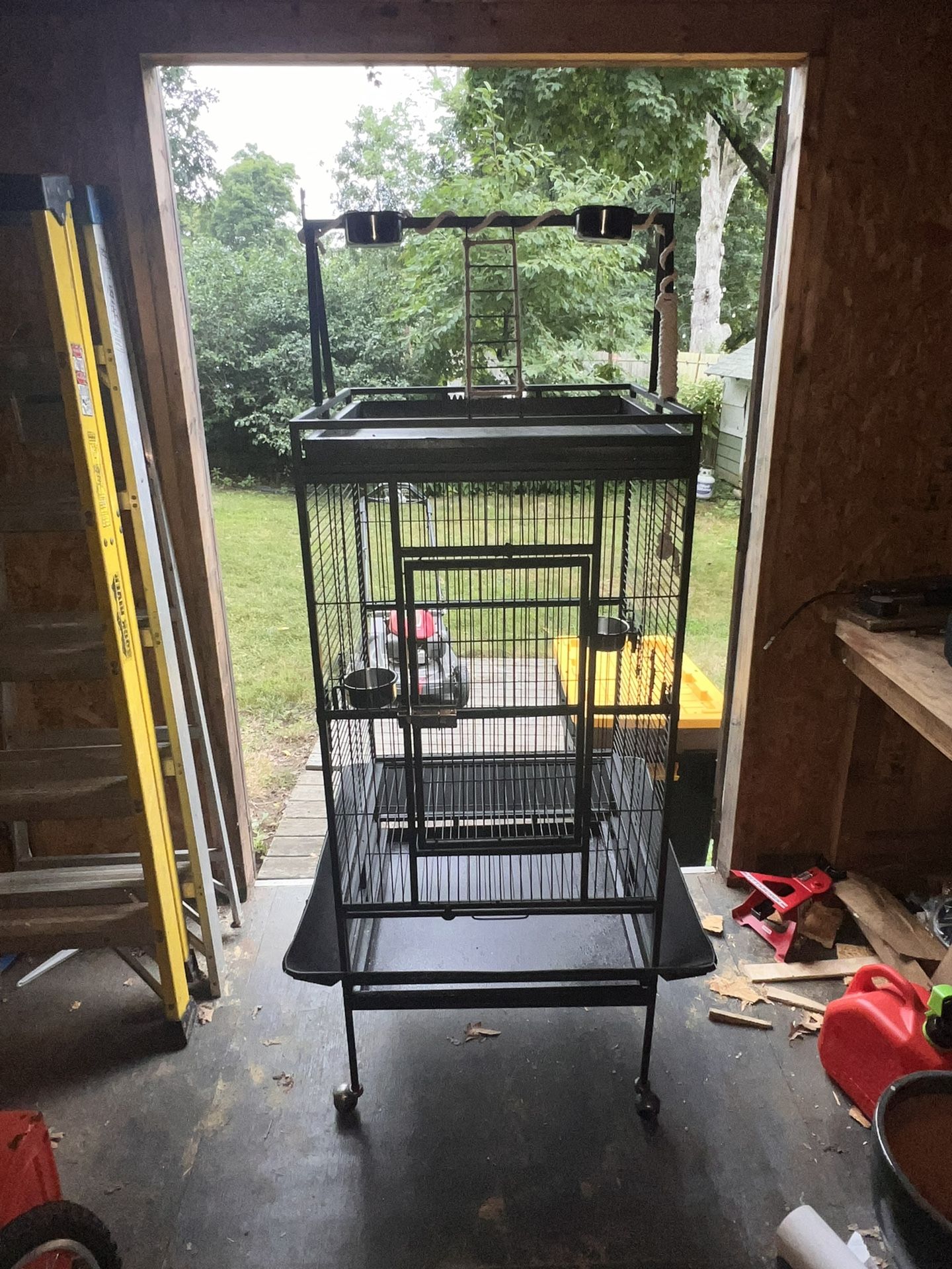 Bird Cage