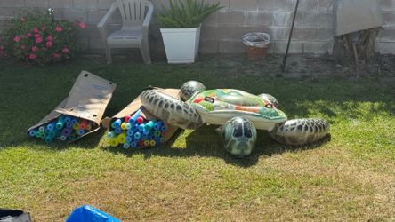 Pool toys