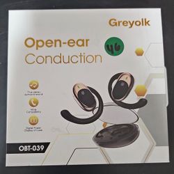 Ai Translating Ear Buds 