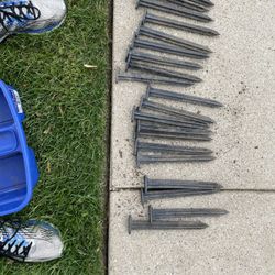 20+ Lawn Edge Stakes Half Price Of New