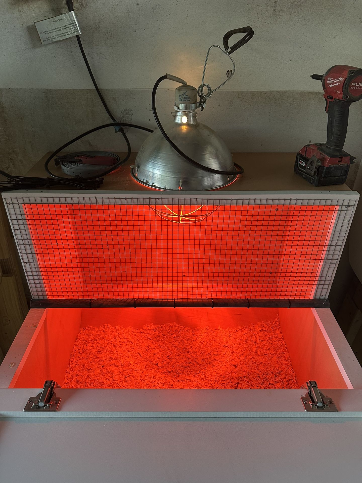 Criadoras Para Pollitos