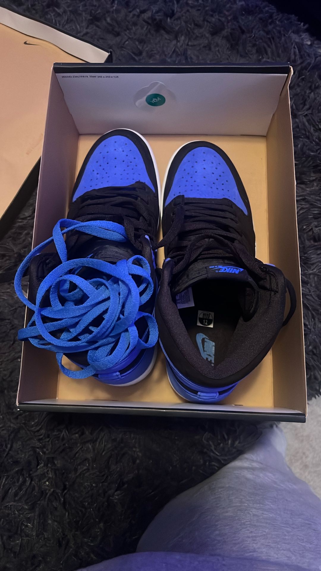 Air Jordan 1 Retro High OG Blue Royal