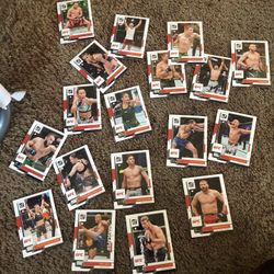 UFC Cards