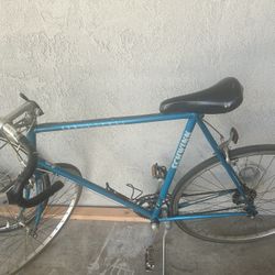 Schwinn Bike