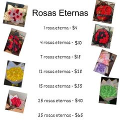 Rosas Eternas 