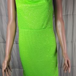 Ruched Side Bodycon Dress Green Sequin Size XXL Wild Fable