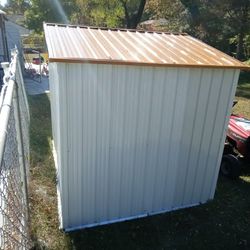 Metal Backyard Shed