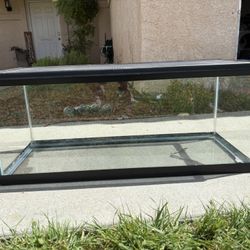 20 Gallon Fish/reptile Tank