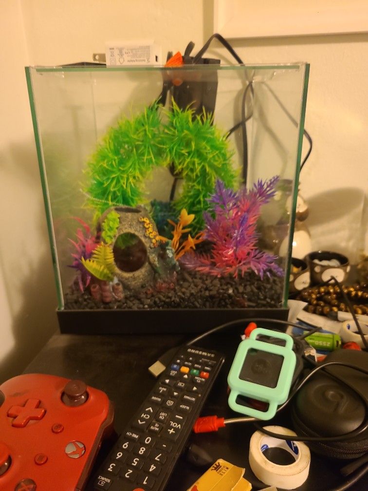 Fish Tank