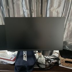 Dell 24 Monitor - P2422H