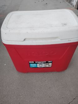 Igloo
