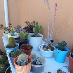 price my be diferente  for each  one