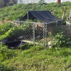Dog Kennel