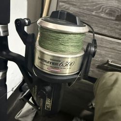 Shimano Baitrunner 6500 & Penn/Sabre Rod