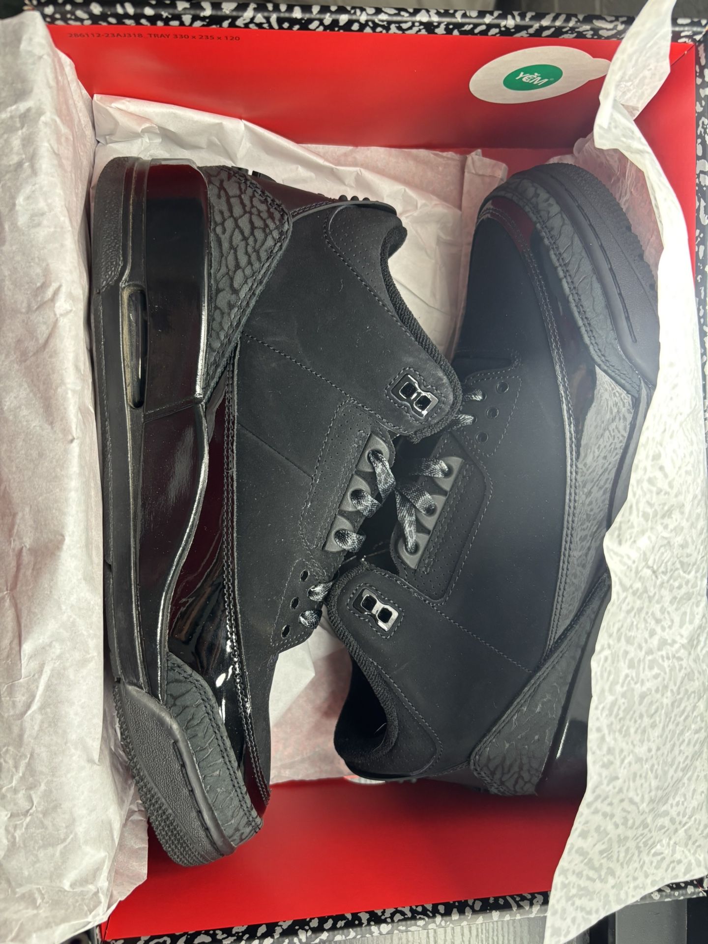 Air Jordan 3 Retro