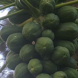 GREEN & RIPE PAPAYAS