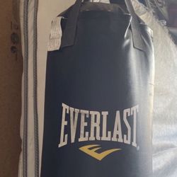 Ever-last Punching Bag  