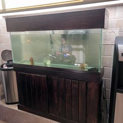 55 Gallon Tank With Lots Of Extras 