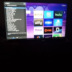 55 Inch Vizio.