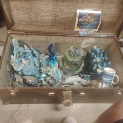 Dolphin Lovers Dream