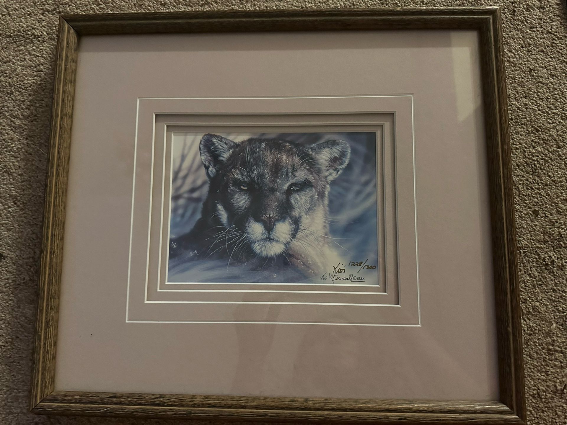 Signed Freezer Burn - Vivi Crandall Print 1228/1300