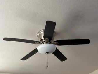 Ceiling fan