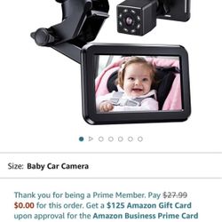 Baby Car Cam 