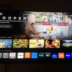 55 Inch Vizio Flat Screen Tv With Wall Mount 