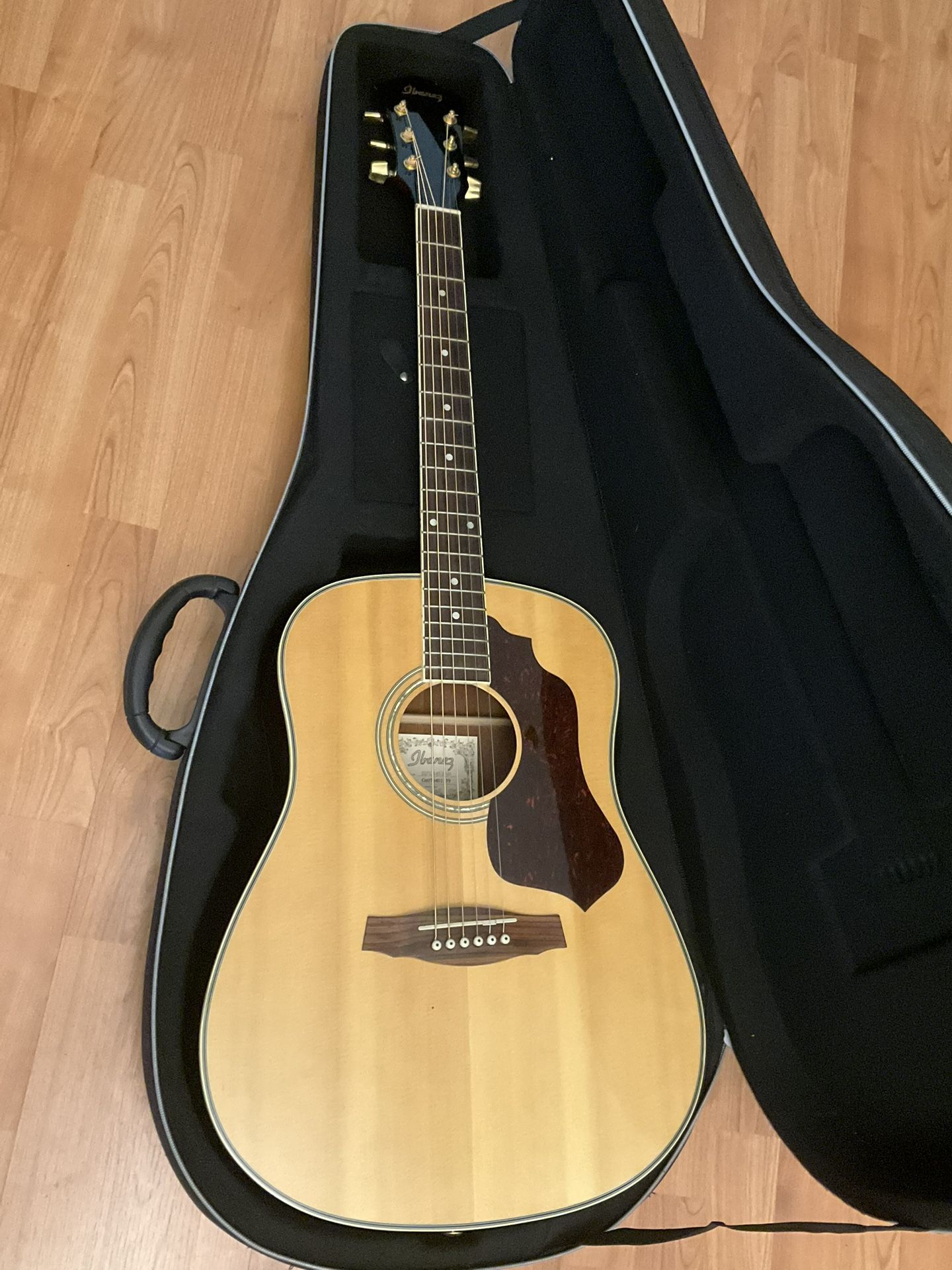 Ibanez SGT 125 Nat Acoustic Guitar
