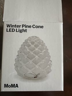 White pinecone