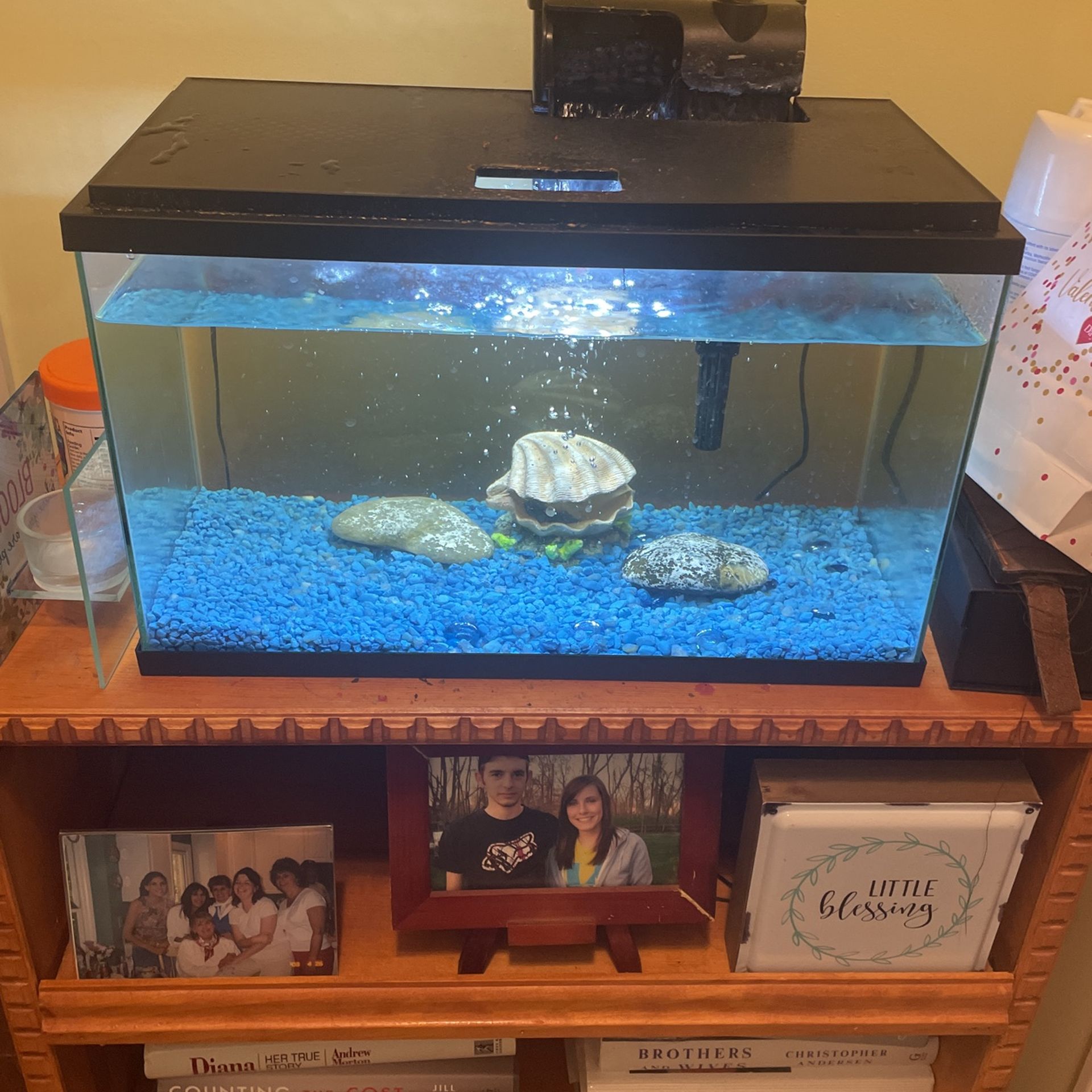 10 Gal Fish Aquarium