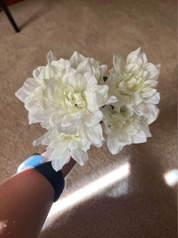 White flowers and green vines