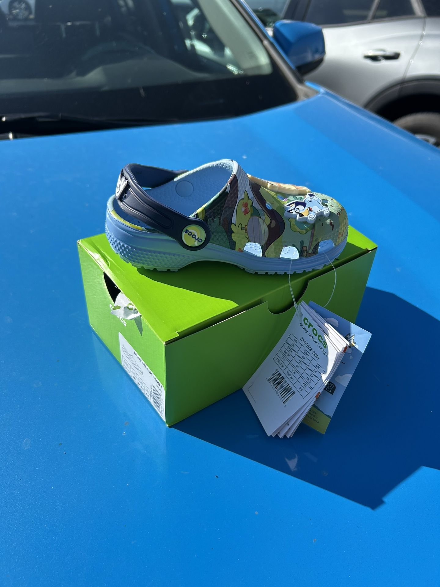 Bluey Crocs