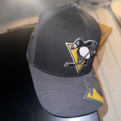 Pens Hat