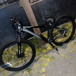 Kent Trouvaille Mountain Biker 