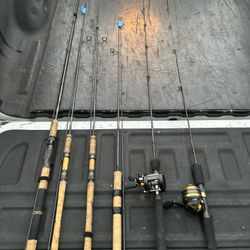 Phenix Fishing Rods