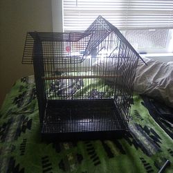 Birdcage And Bird Box