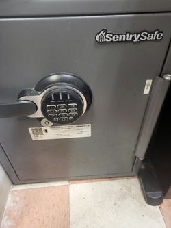 Sentry Safe