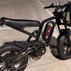 Windone 750w EBike