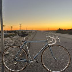 Vintage Raleigh Professional Road Bike