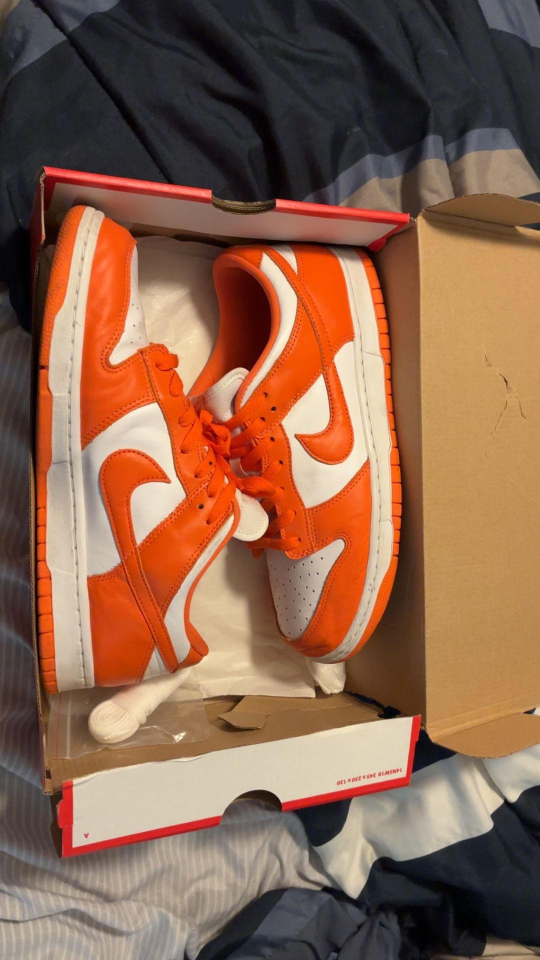 Nike Syracuse Dunks Size 11