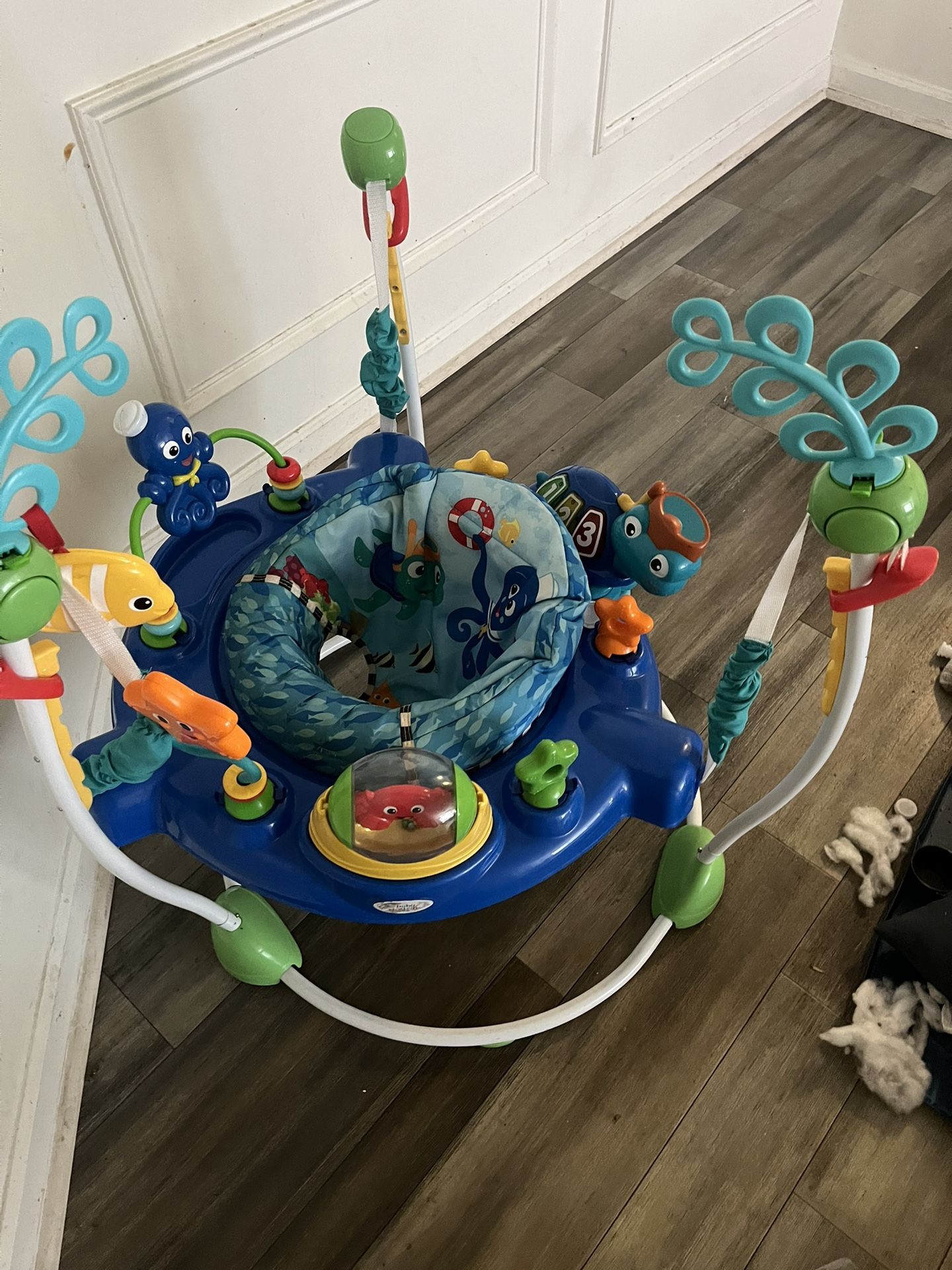 Baby Einstein Activity Jumper