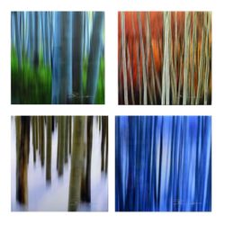 Peter Lik Blur Element 4-Pack