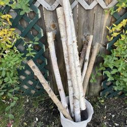 Set Of 8 Decorative White Birch Logs Natural Bark Wood 35-42" In Length Good Condition