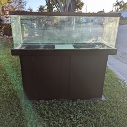 60 Gal Fish Tank