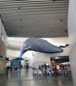 Acuario Long Beach