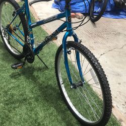 15 speed bicycle everything works ready to ride for the summertime for adults kids very nice