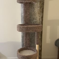 Cat Tree (~5’7” Tall)